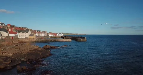 Seagull chasing drone off coast at Cellardyke, Fife 库存影片 150830010