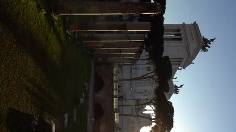 Seagull on column Stock Footage 125697257