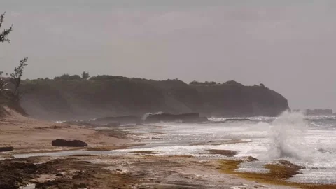 Seagull diving as waves crash on a dramatic misty shoreline 60fps 4k Stock Footage 154650132