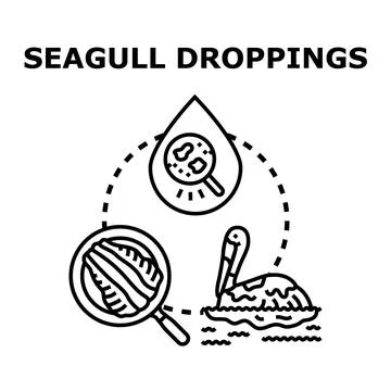 Seagull droppings vector concept illustrating bird pollution Stock Illustration