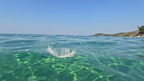 Seagull feather floats gently on a crystal clear wave 스톡 동영상 313837894