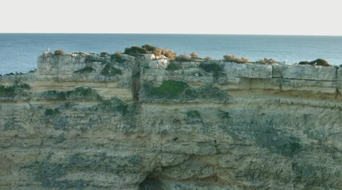 Seagull on the fiord... Vídeo Stock 46966446