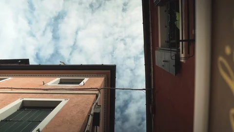 Seagull flies against a background of blue sky in Venice Video stock 124261853