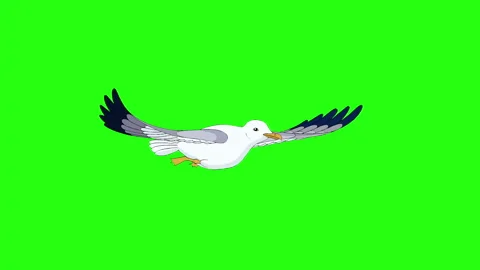 Seagull flies and soars in the sky chroma key Stock Footage 138612184
