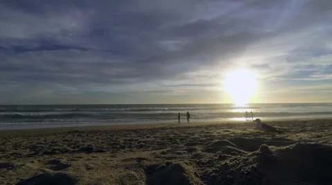 A seagull flies away at the beach Vídeo Stock 36129789