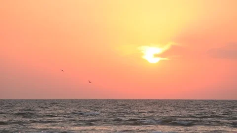 Seagull flies on background of rising sun over sea Stock Footage 88342225