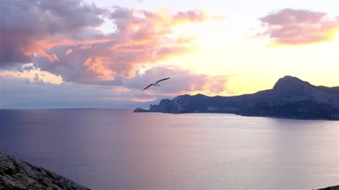 Seagull flies in the mountains at sunset Stock Footage 138897340