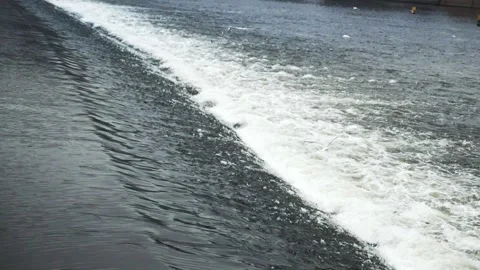 A seagull flies over a dam on the Vltava River in Prague, Czech Republic. Stock Footage 264670710