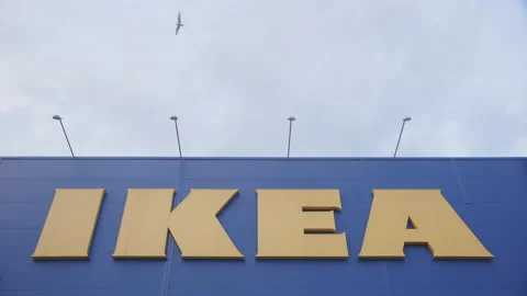 41 Ikea Bag Stock Video Footage - 4K and HD Video Clips