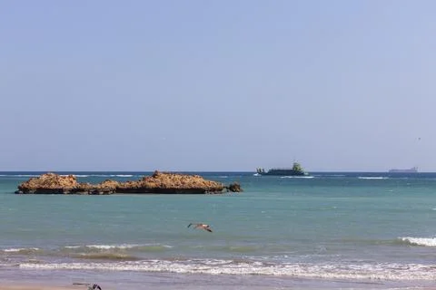 A seagull flies over the sea as a work boat passes rocky outcrops, Obock Re.. Stock Photos