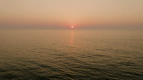 Seagull flies by the sun as it rises over the ocean Stock Footage 208899596