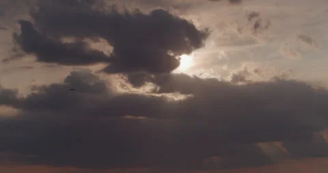 Seagull Flies By - Sunset with Clouds Stock Footage 245379596