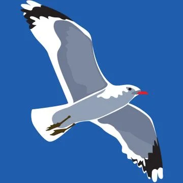 Seagull in flight, bird in the sky Stock Illustration
