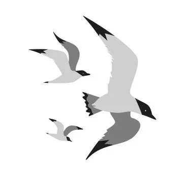 Seagull flight icon Stock Illustration