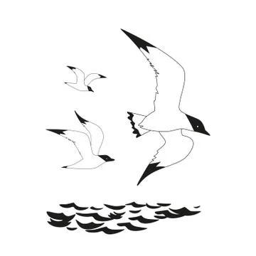 Seagull flight icon Stock Illustration