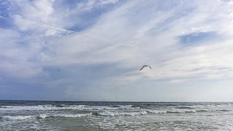 Seagull in Flight Over Endless Waves Stock Photos