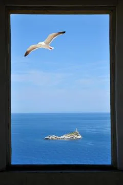 Seagull in flight through window in the castle Foto stock