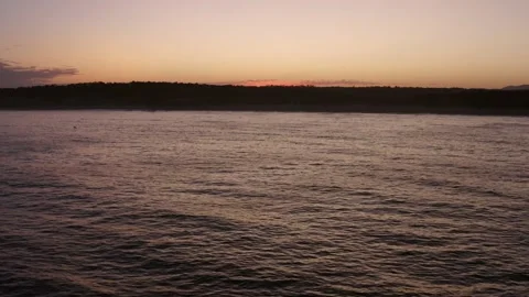 Seagull fly above the ocean  Vídeos de archivo 142945189