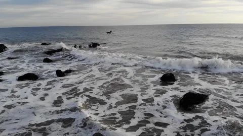 Seagull fly by at ocean front with rocks Stock Footage 297228359