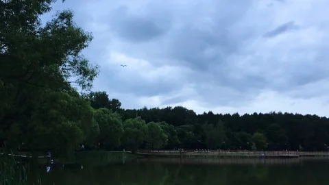 Seagull flying against the dramatic sky Stockbeeldmateriaal 112082418