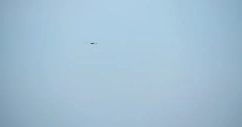 Seagull flying in blue cloudy sky in slow motion Vídeo Stock 130991185
