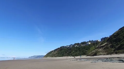 Seagull Flying in Circles Over Beach Stock Footage 87927383