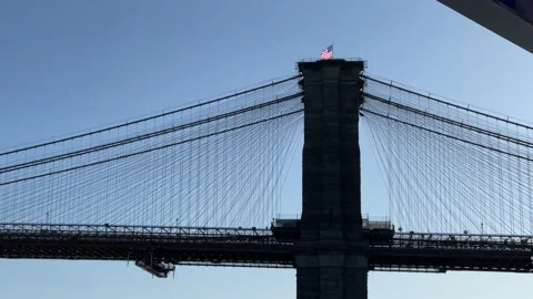 Seagull flying in front of Brooklyn Bridge American flag New York City NYC Stock Footage 150813133