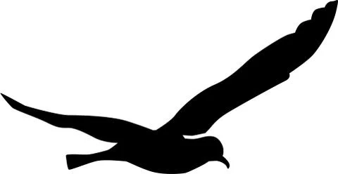 Seagull flying Stock Illustration