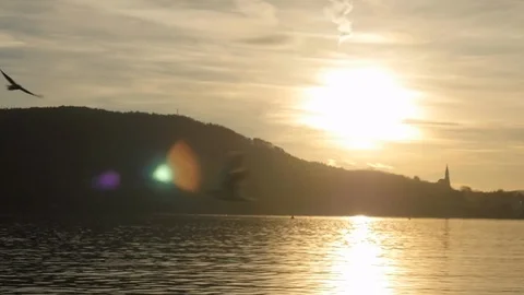 Seagull flying by the lake at sunset with small city mountain scape church Stock Footage 87695822