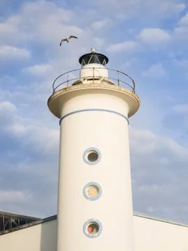 Seagull flying on a lighthouse tower Stock Photos