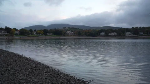 Seagull Flying Over Bar Harbor Maine Coastline Near Waterfront Homes Overcast 4K Stock Footage 332452117