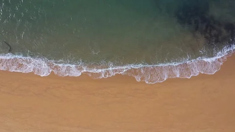 Seagull Flying over Beach Video stock 119665929