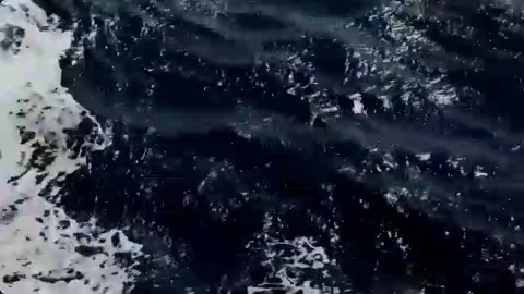 Seagull Flying Over Dark Stormy Ocean Waves 4K` Stock Footage 339159136
