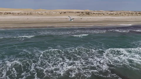 Seagull flying over a deserted beach with Caspian sea waves crashing, Mangystau Video stock 322791519