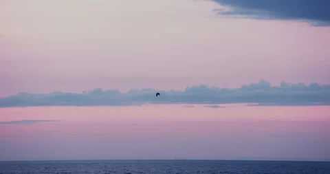 Seagull flying over a dramatic contrasty water in wonderful sunset colors and 스톡 동영상 165254722