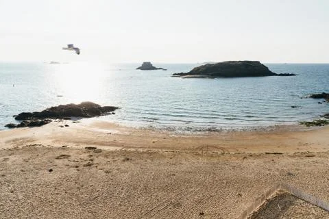 Seagull flying over the empty beach of Saint Malo Foto stock