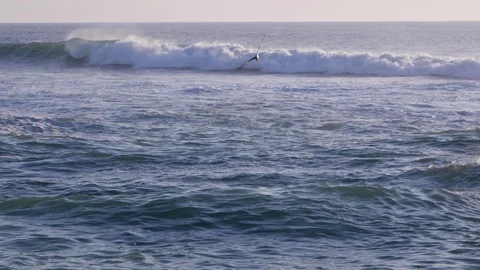 Seagull flying over the ocean surface with waves in background. Tracking shot. Stock Footage 105157444