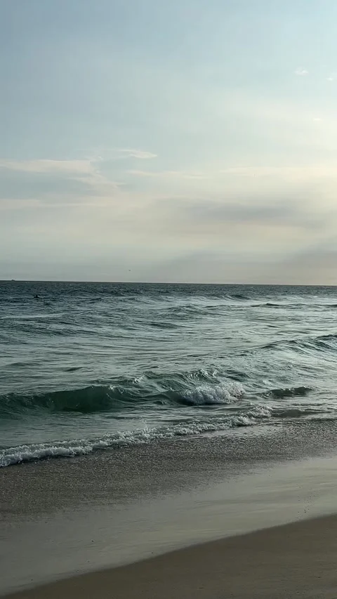 Seagull flying over ocean waves at calm beach in, Rio de Janeiro Brazil lock dow Stock Footage 332681343