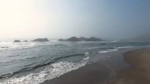 Seagull flying over Oregon beachfront Video stock 70589477
