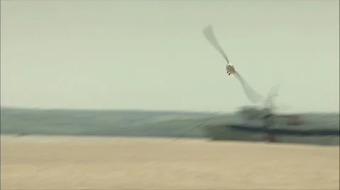 Seagull Flying a Over River Video stock 37705541