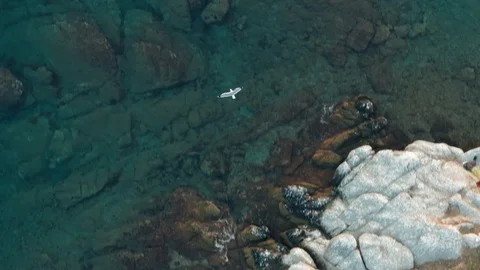 Seagull flying over rocky coastline and sea, aerial view. Stock Footage