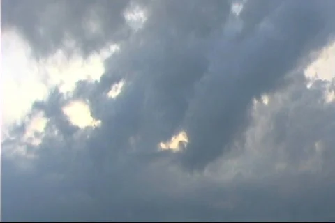Seagull flying past clouds Stock Footage 771915