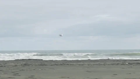 Seagull Flying in Slow motion Stock Footage 79064566