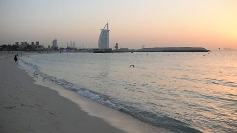 Seagull flying in slow motion over the public beach in Dubai Stock Footage 87603985