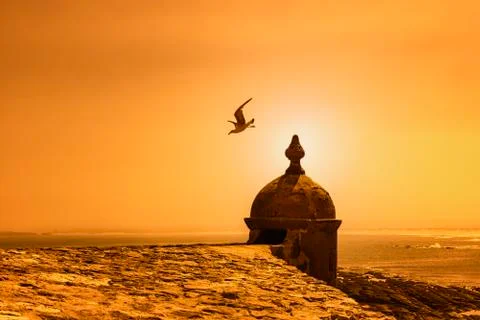 Seagull flying off a small tower by the coast at sunset Stock Photos