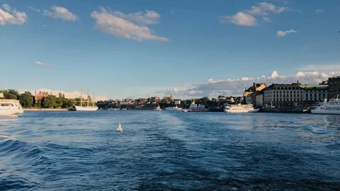 Seagull Flying in Stockholm Bay - Sodermalm in the Background 動画素材 119085919