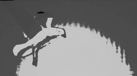 Seagull. Stock Footage 641321