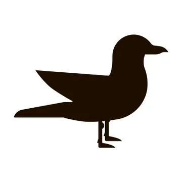 Seagull icon on white background. Vector illustration in trendy flat style. EPS Stock Illustration
