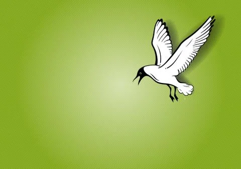 Seagull Illustrazione stock