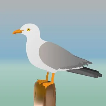 Seagull Illustrazione stock